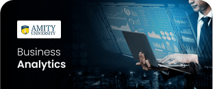 Business Analytics