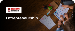 Entrepreneurship