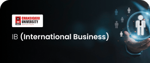 IB (International Business)